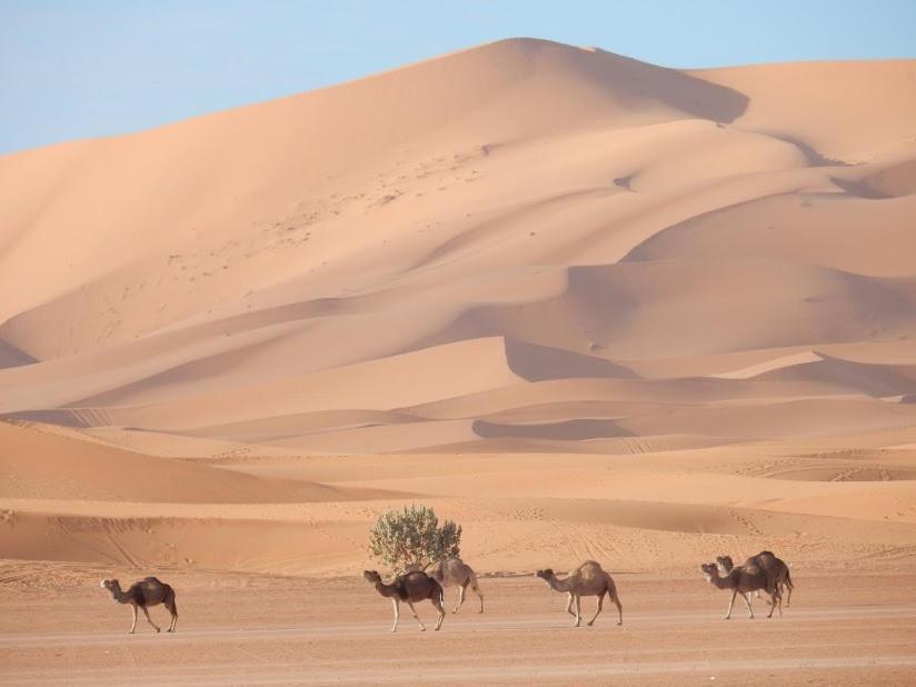 Auberge Sahara Garden Lac Yasmins Esterno foto